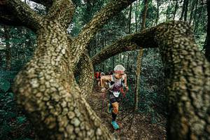 BIB: 
                            <button type="button" onclick="openModal(25393113)" class="btn btn-primary btn-sm float-right btn-popup" data-toggle="modal" data-target=".modal-high-quality">
                        <i class="fas fa-shopping-cart"></i> Add to Cart
                    </button>
                                            <button type="button" onclick="isThisMe(25393113, true)" class="btn btn-success btn-sm float-right btn-popup btn-isme hidden" data-toggle="tooltip" data-placement="bottom" title="นี่คือรูปของคุณใช่ไหม คลิกที่นี่เพื่อเอาเข้าอัลบั้ม">
                        <i class="fas fa-plus"></i> Add to album
                    </button>
                    <button type="button" onclick="isThisMe(25393113, false)" class="btn btn-warning btn-sm float-right btn-popup btn-isnotme hidden">
                        <i class="fas fa-ban"></i> Remove from album
                    </button>